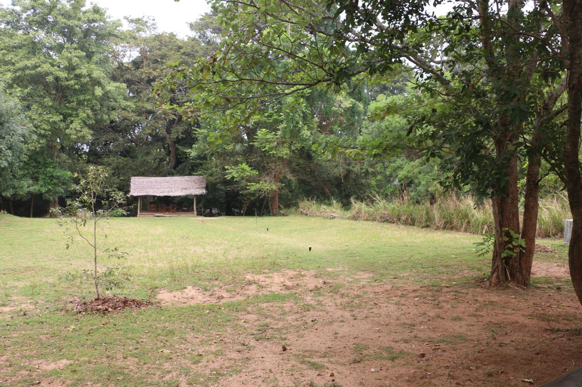 Wildescape, Yala Blocks 3 & 5 Villa Buttala Екстериор снимка