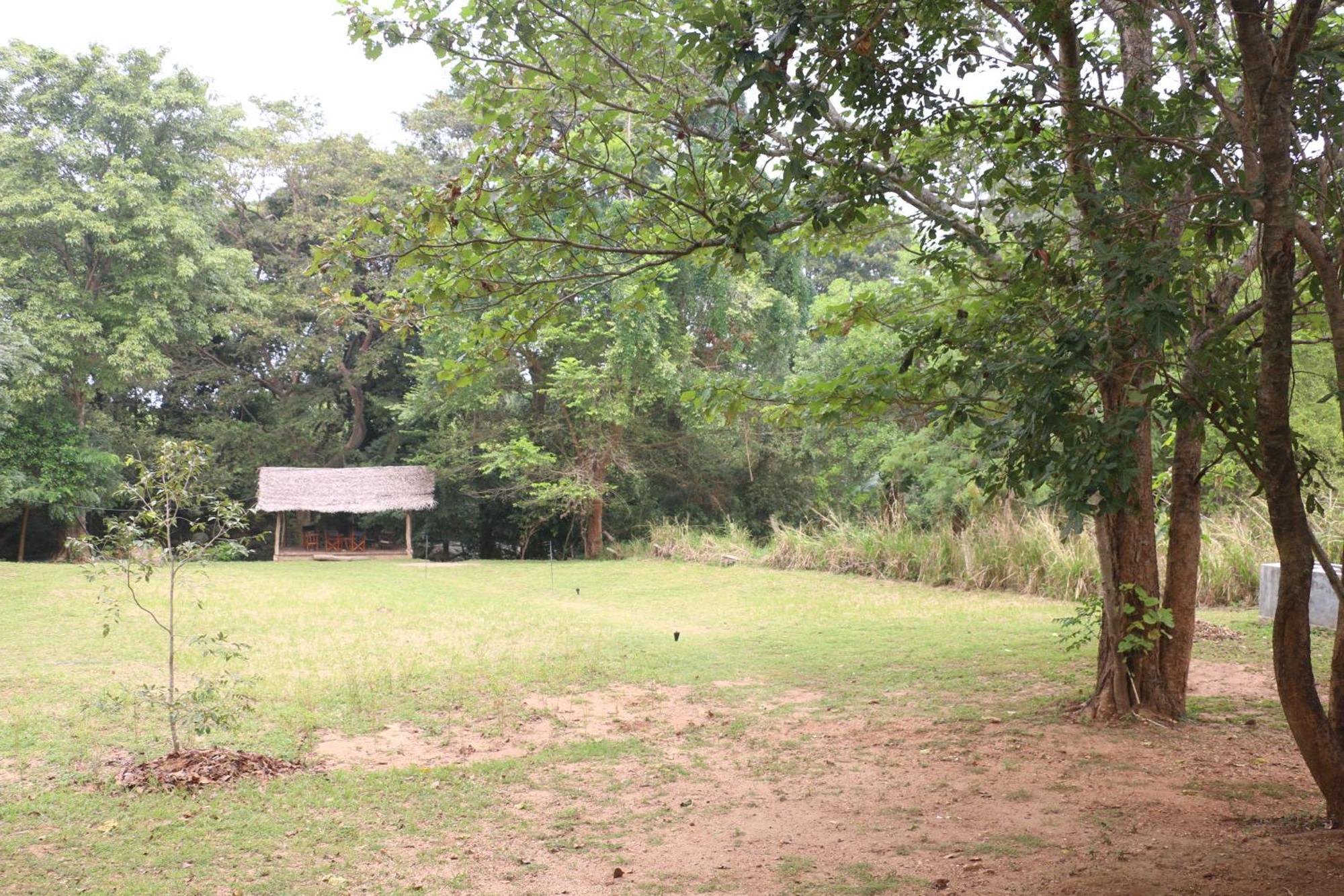 Wildescape, Yala Blocks 3 & 5 Villa Buttala Екстериор снимка