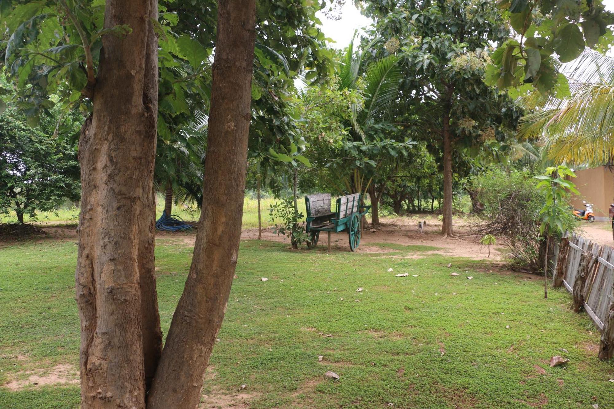 Wildescape, Yala Blocks 3 & 5 Villa Buttala Екстериор снимка
