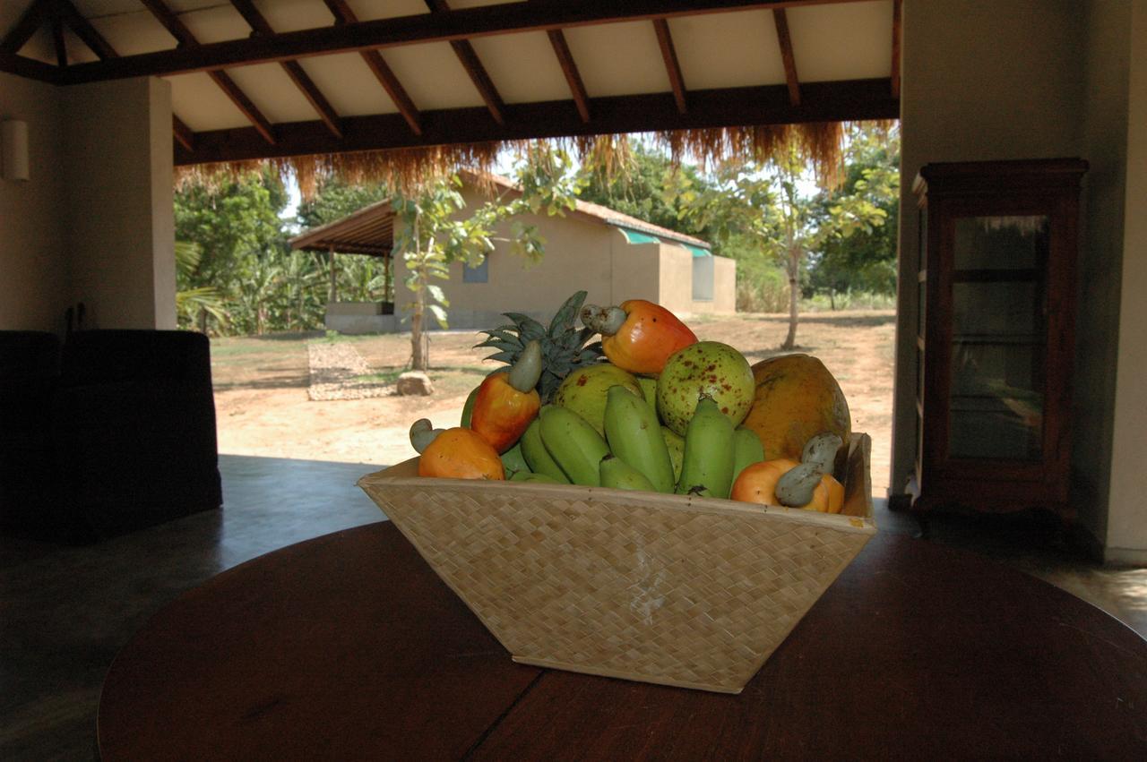 Wildescape, Yala Blocks 3 & 5 Villa Buttala Екстериор снимка