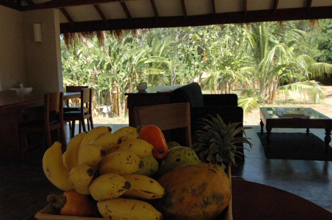 Wildescape, Yala Blocks 3 & 5 Villa Buttala Екстериор снимка