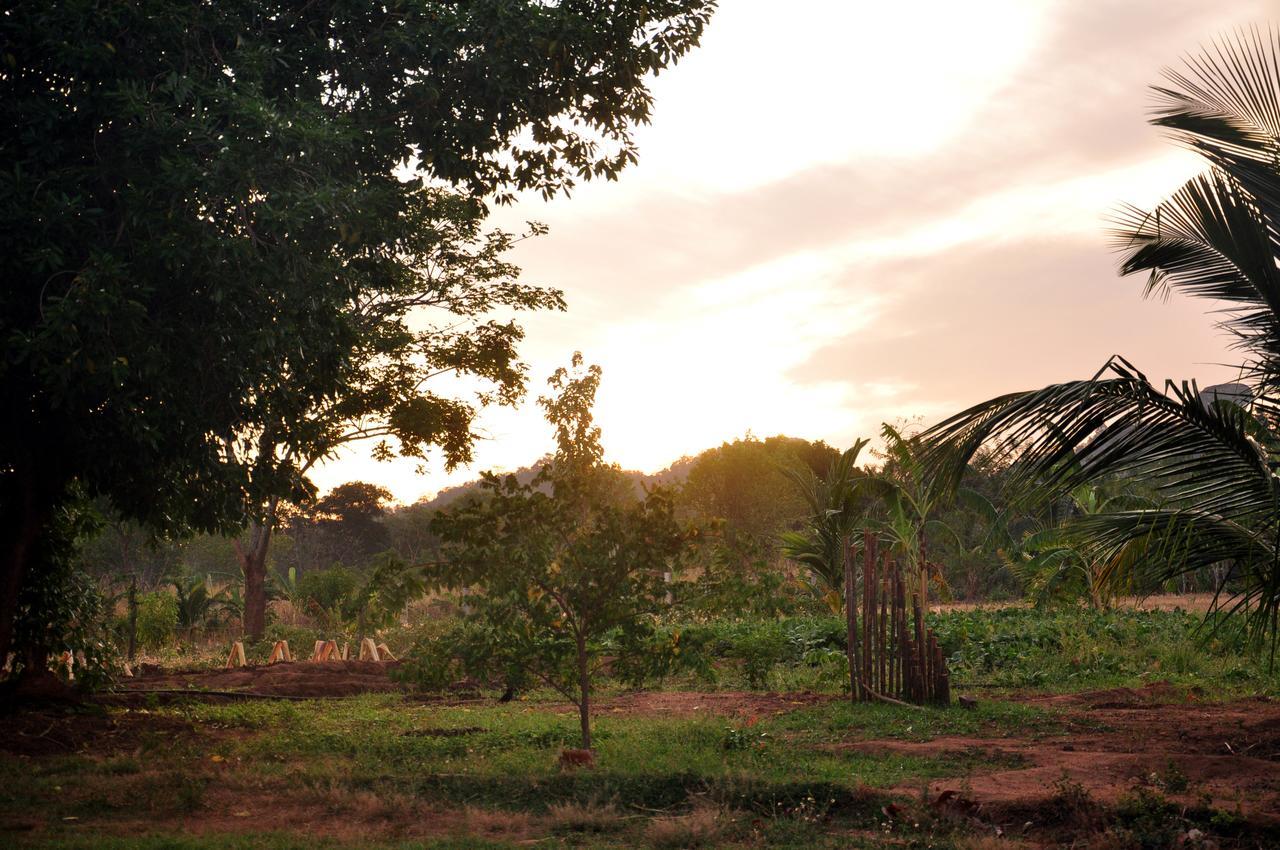 Wildescape, Yala Blocks 3 & 5 Villa Buttala Екстериор снимка