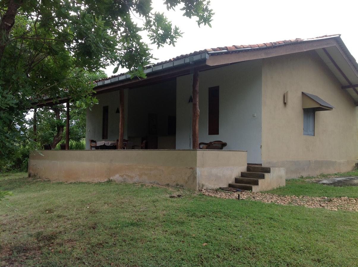 Wildescape, Yala Blocks 3 & 5 Villa Buttala Екстериор снимка